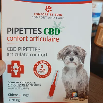 Pipettes neuves cbd petits chiens